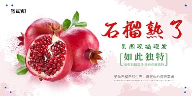 石榴熟了粉色色块简约清新展板