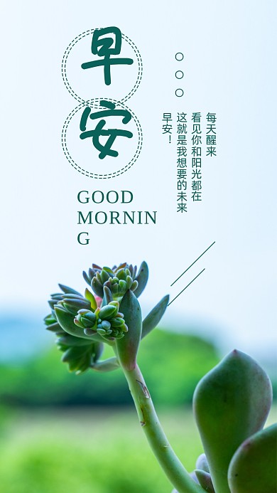 绿色简约早安你好励志文章配图