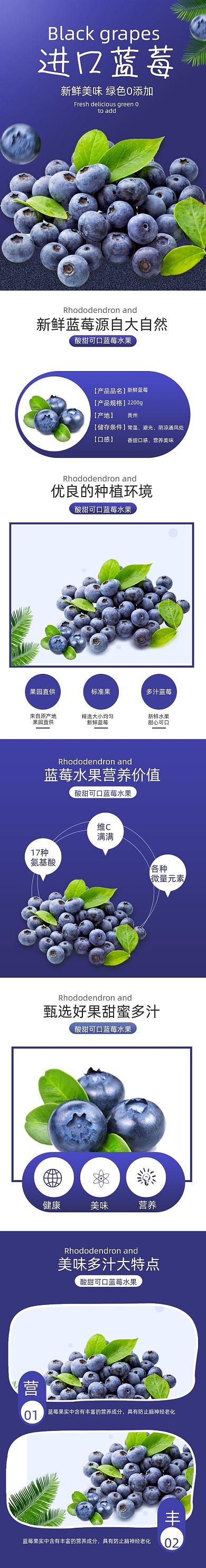 蓝莓水果食品详情页简约
