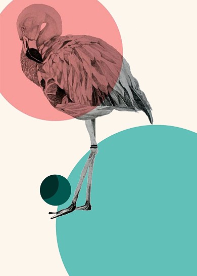 火烈鸟粉嫩色扁平风现代花鸟装饰画