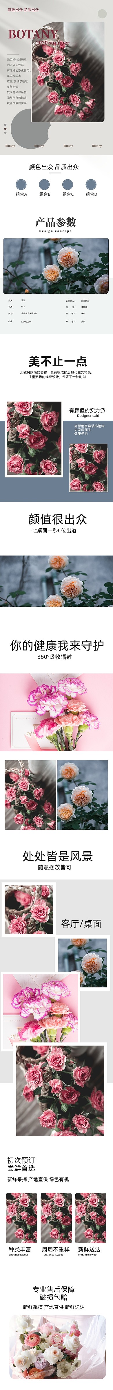 鲜花植物盆栽花卉园艺详情模板