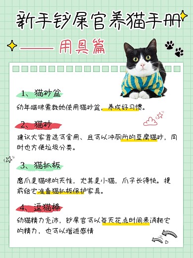 新手铲屎官养猫手册小红书配图