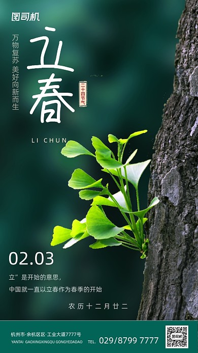 立春节气绿色清新简约手机海报