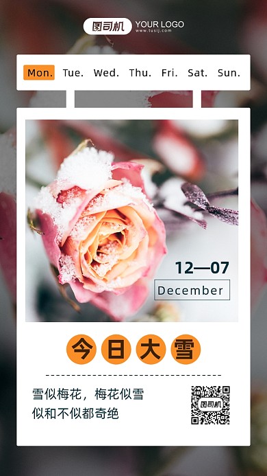 二十四节气大雪文艺摄影图手机海报