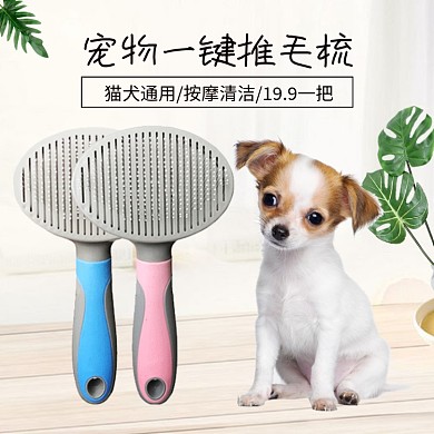 宠物一键推毛梳简约促销主图