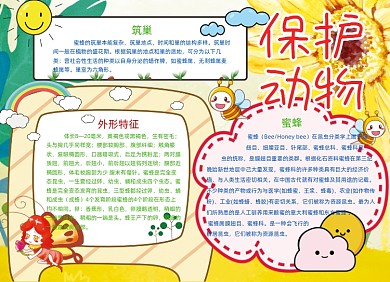 保护动物小报手抄报