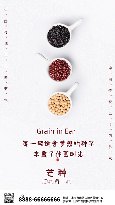 简约食物芒种节海报