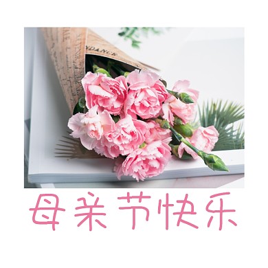 母亲节快乐文艺小清新公众号次图