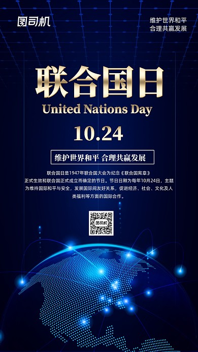 联合国日大气国际节日手机海报