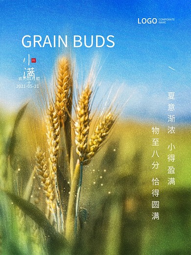 小满芒种渐变清新二十四节气地产摄影图海报