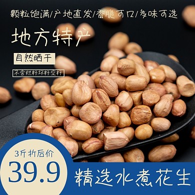 花生食品淘宝主图直通车模板