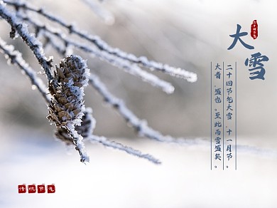 大雪节气简约横版配图