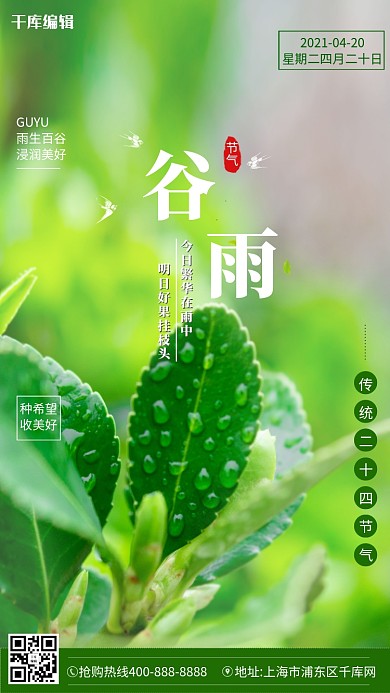 谷雨绿草叶子海报