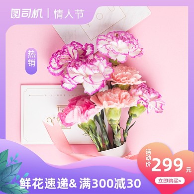 情人节鲜花康乃馨紫粉色清新浪漫主图直通车