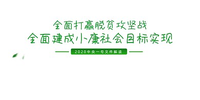 全面建成小康社会目标实现展板