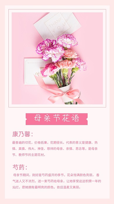 母亲节花语康乃馨竖版配图