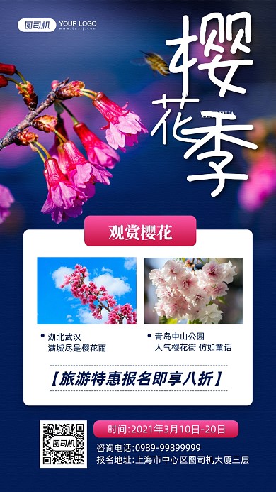 樱花季国内樱花旅游宣传手机海报