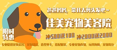 宠物美容猫狗护理限时优惠