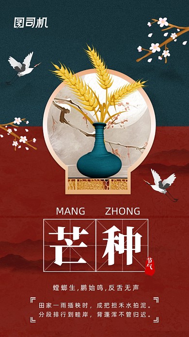 二十四节气芒种中国风手机海报