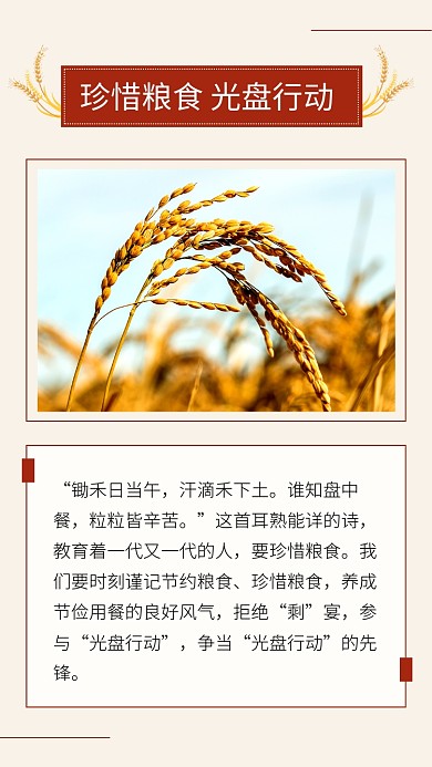 珍惜粮食光盘行动简约文章配图