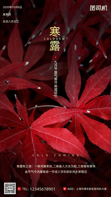 寒露节气摄影图文艺清新简约手机海报