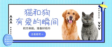 绿色孟菲斯猫和狗有爱的瞬间公众号首图