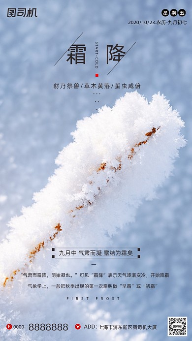 霜降节气摄影图冰霜清新简约手机海报