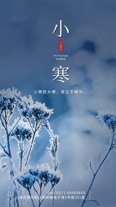 清新简约小寒传统节气手机海报模板
