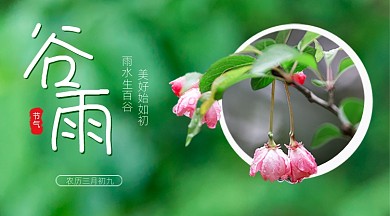谷雨节气绿色春天生机开花广告banner