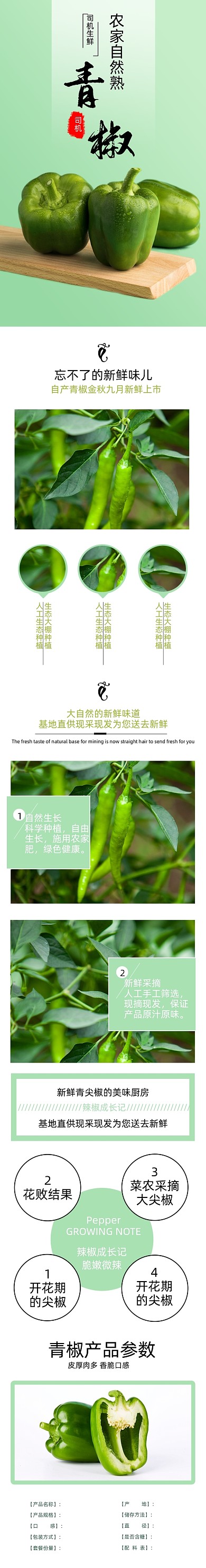 青椒肉椒辣椒蔬菜生鲜详情页