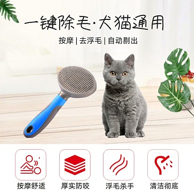 宠物梳毛工具功能介绍简约主图