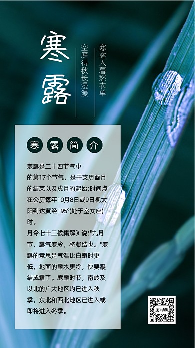 寒露节气简约实景文章配图