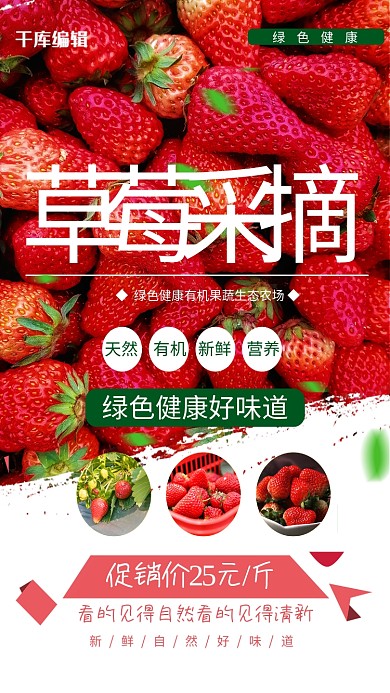 采摘草莓粉色简约海报