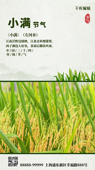 小满节气绿色简约海报