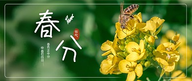 春分节气春天宣传油菜花公众号首图