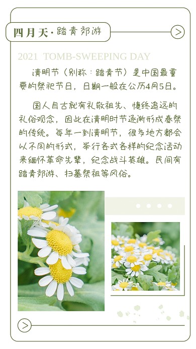 春天踏青郊游赏花旅游竖版配图