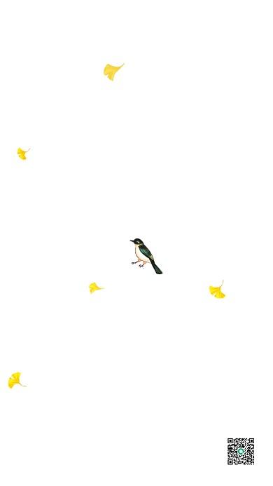 秋分节气银杏叶风景简约手机海报