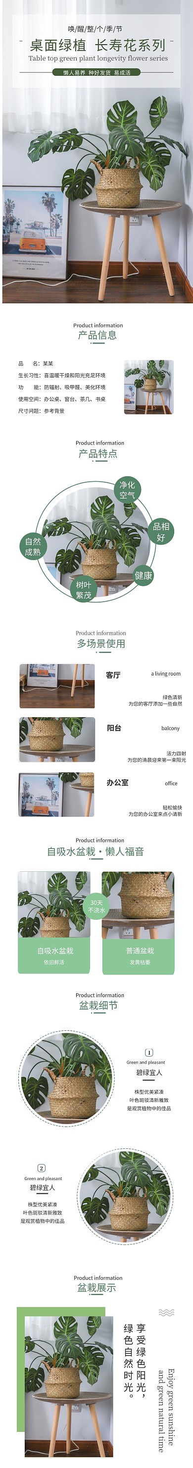 简约绿色植物盆栽绿植电商淘宝详情页