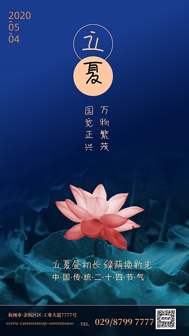 立夏节气海报荷花