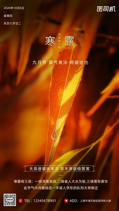 寒露节气摄影图文艺清新简约手机海报