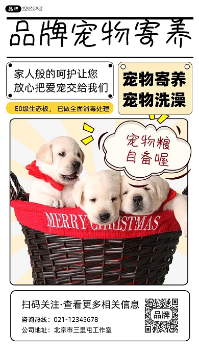 宠物寄养宣传摄影图海报
