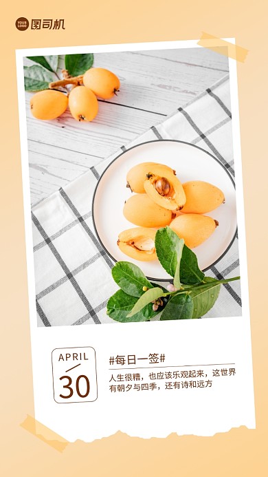枇杷果盘清新实景日签手机海报