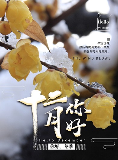 简约大气十二月你好海报