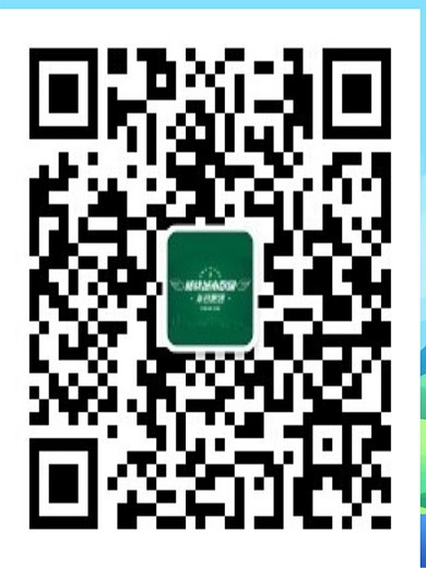 文明旅游系列公益海报之绿色出行