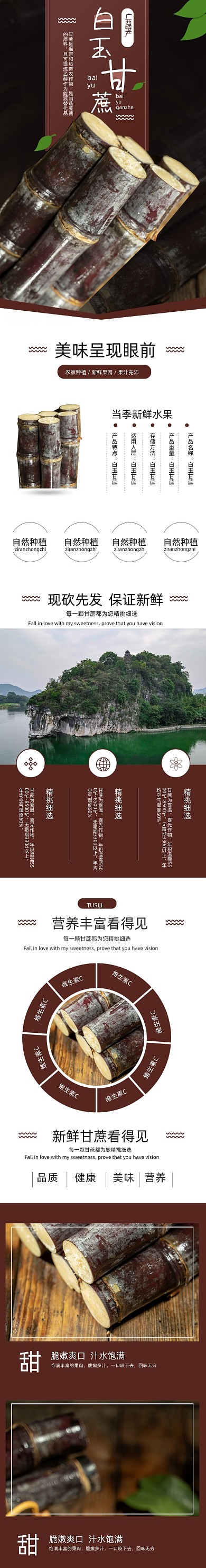 甘蔗水果食品详情页