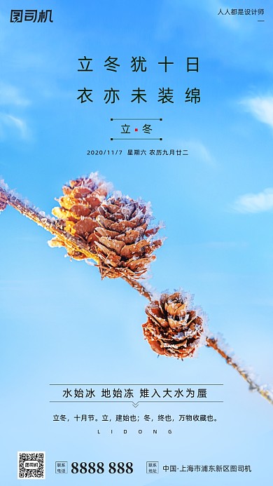 立冬节气摄影图雪花松果清新手机海报