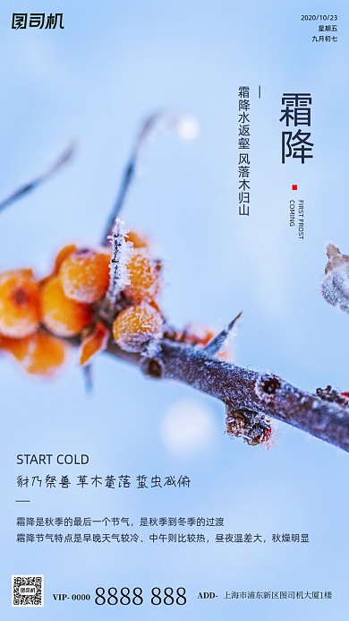 霜降节气摄影图树枝白霜简约手机海报