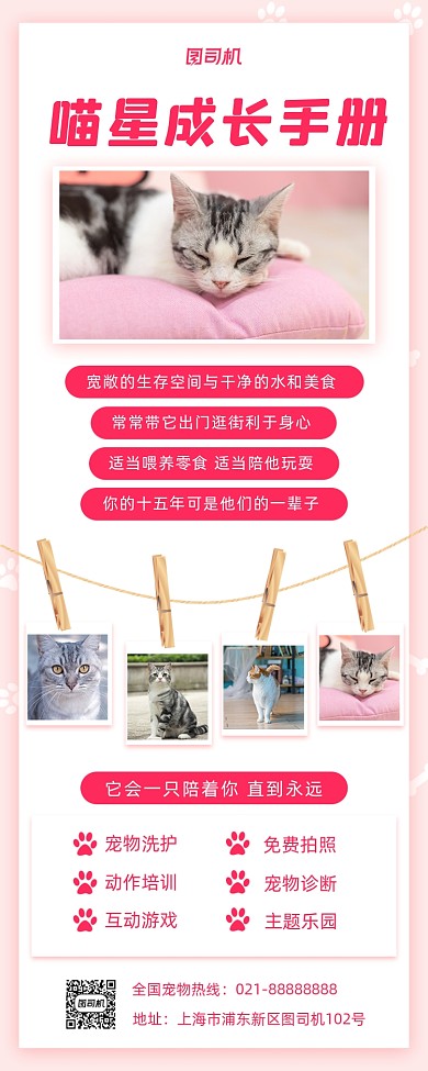 宠物手册宣传手机海报