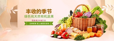 丰收季水果蔬菜促销海报