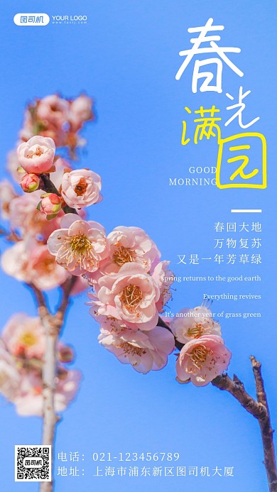 春天唯美樱花摄影手机海报